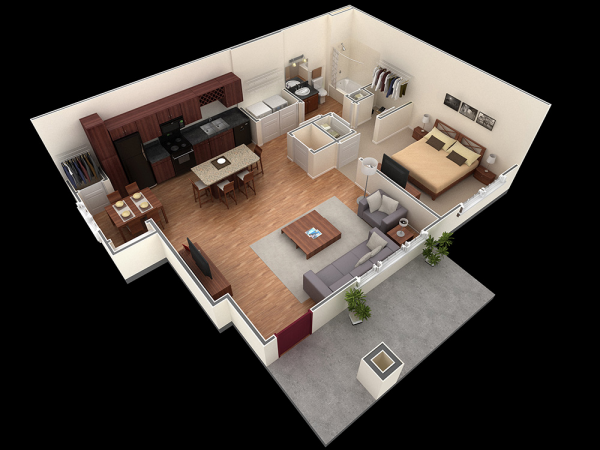 25个一居室户型装修3D布局效果图