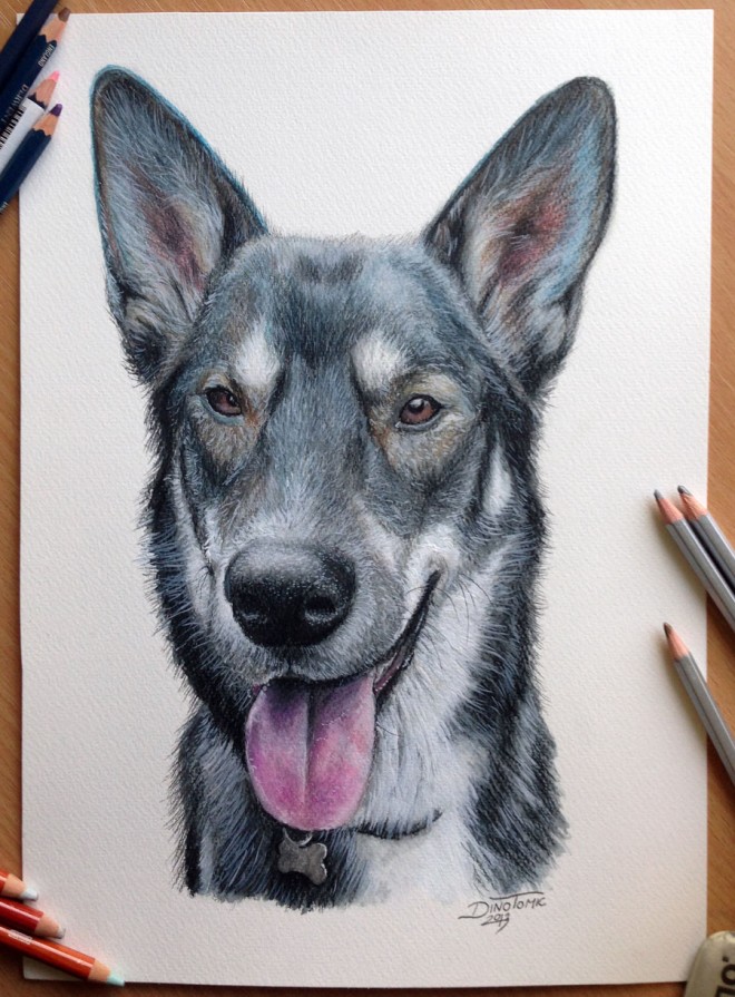 30个可爱狗狗绘画作品欣赏