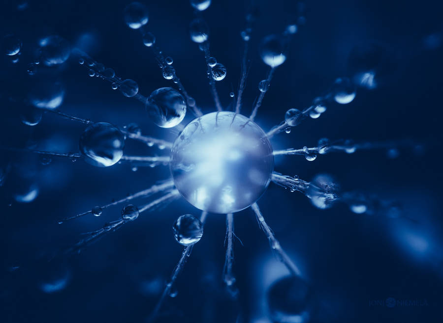 Joni Niemelä唯美的水滴摄影欣赏