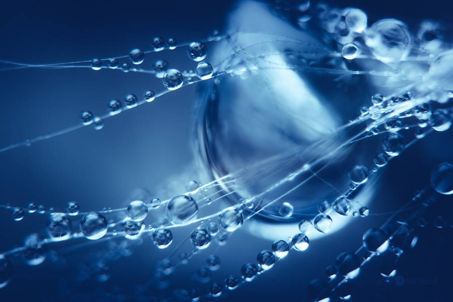 Joni Niemelä唯美的水滴摄影欣赏