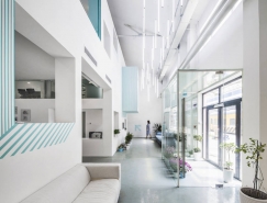 绿色植物点缀的纯净白蓝空间:MAT Office北京办公室设计