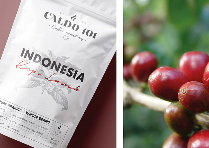 CALDO 101咖啡品牌形象设计