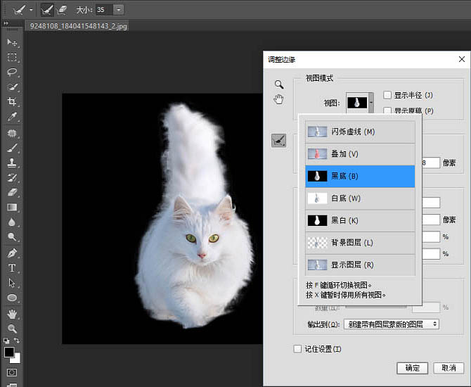 PS快速蒙版及调整边缘快速抠出白猫