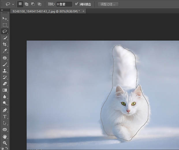 PS快速蒙版及调整边缘快速抠出白猫