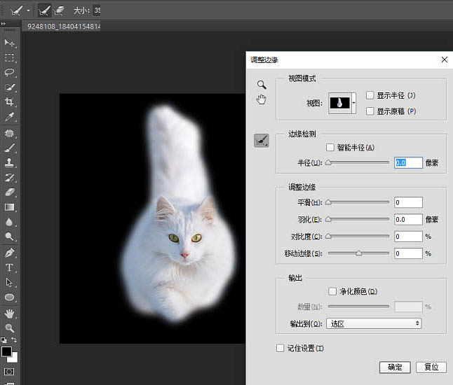 PS快速蒙版及调整边缘快速抠出白猫