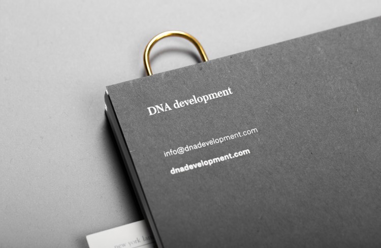 DNA Development品牌视觉设计