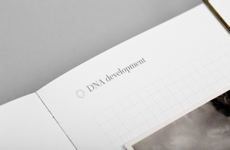 DNA Development品牌视觉设计