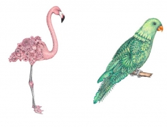 Chloé Mickham超现实风格手绘动物插画