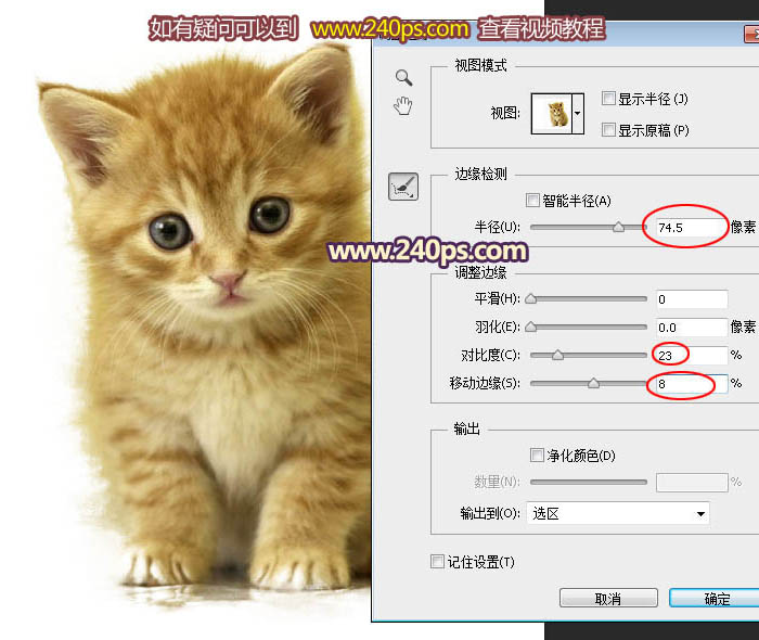 PS调整边缘抠出可爱的小猫