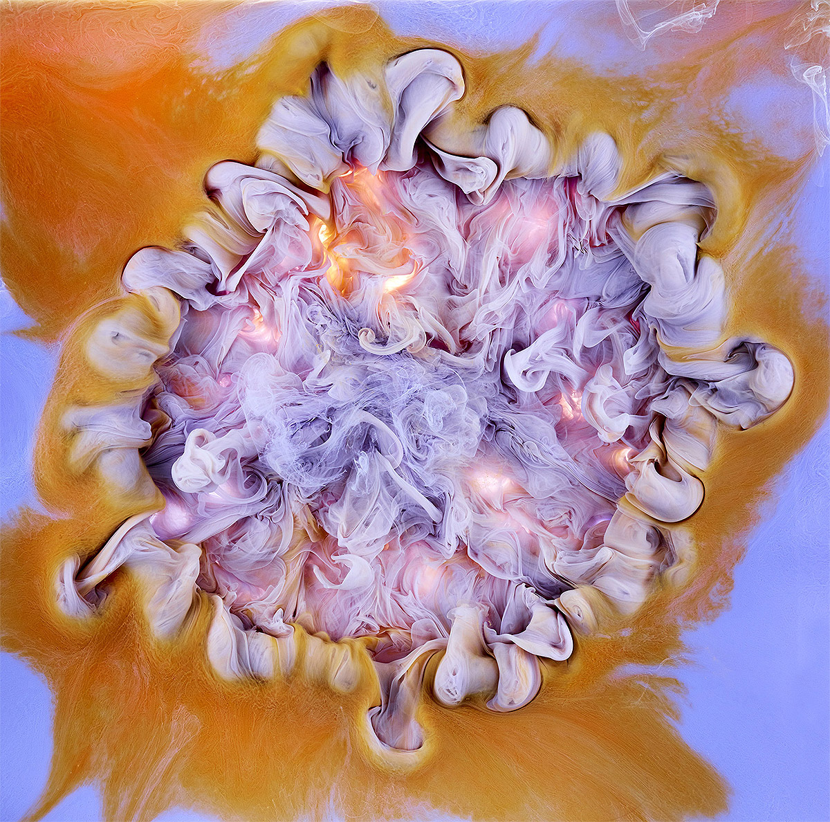 Mark Mawson:水中绽放的绚丽花朵