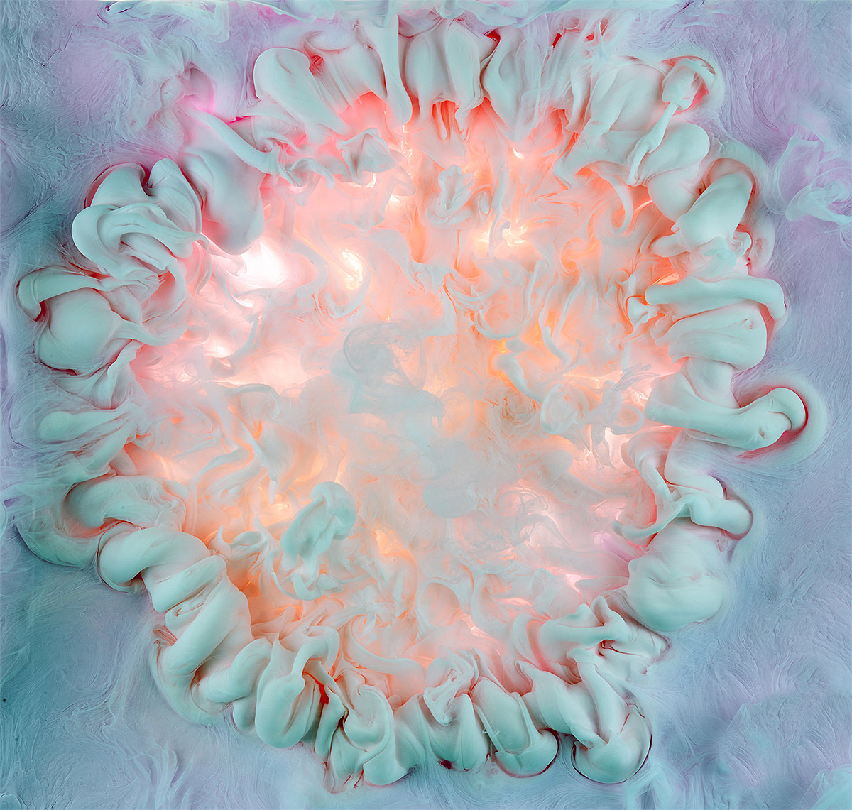 Mark Mawson:水中绽放的绚丽花朵