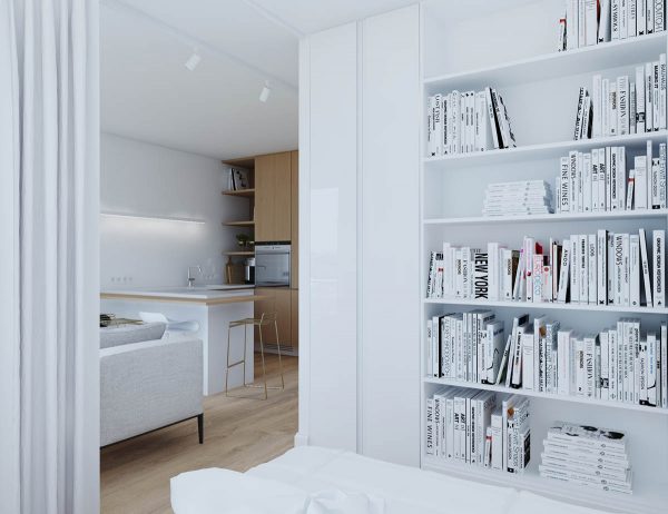 3个现代风格一居室小公寓设计