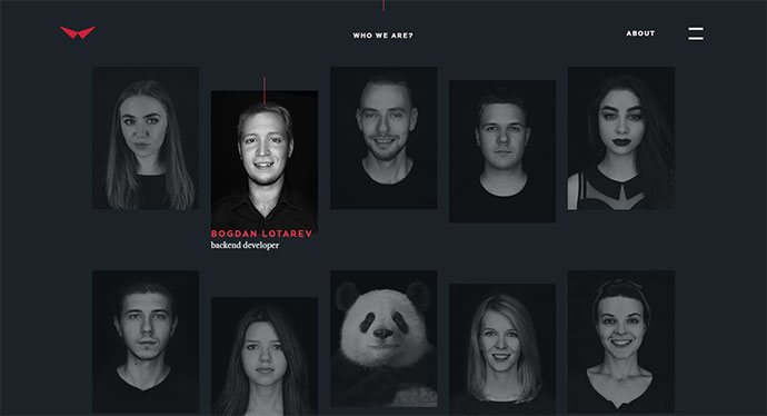 30个网页设计创意团队网站设计