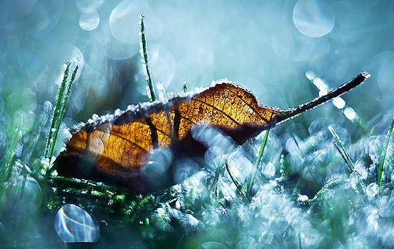 每周精选：优秀的照片和艺术作品(二)