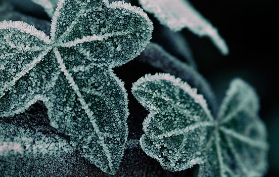 每周精选：优秀的照片和艺术作品(二)