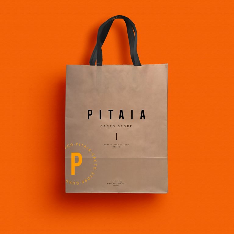 仙人掌和花盆销售商:Pitaia品牌VI设计