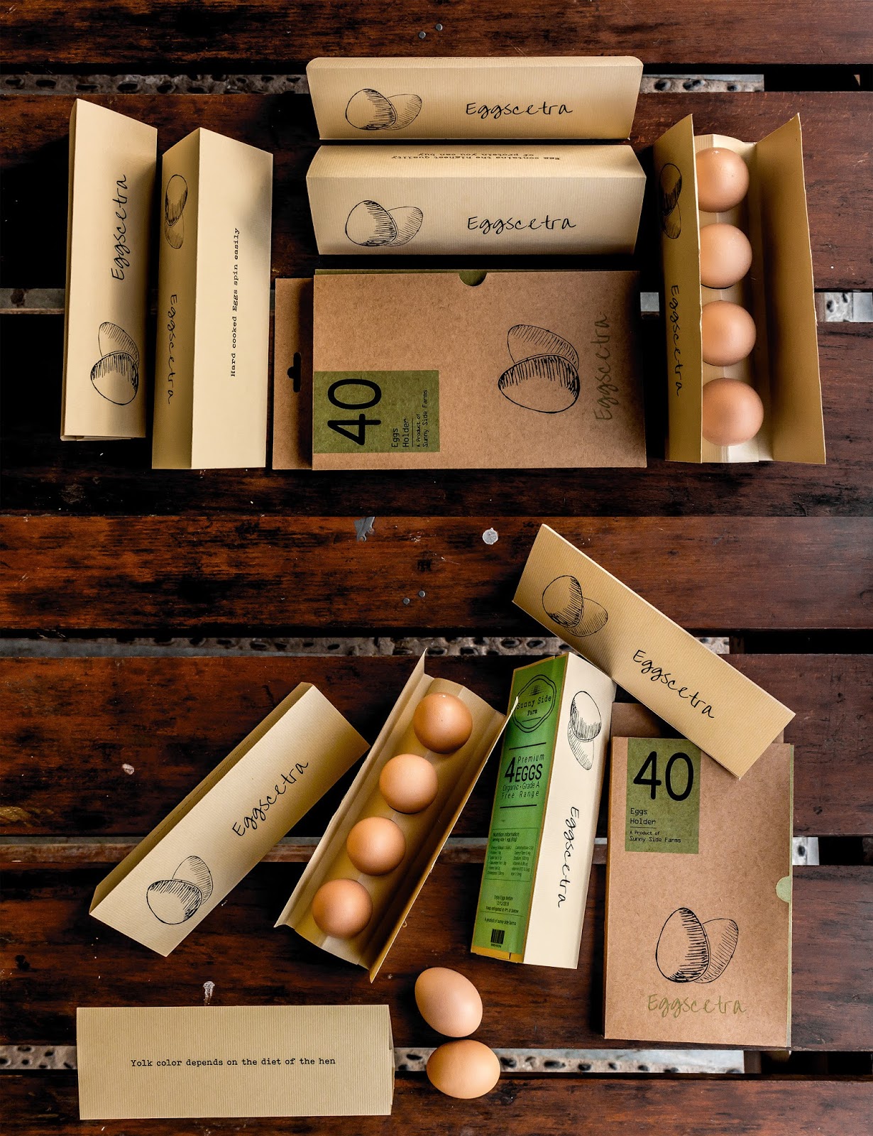 Eggscetra鸡蛋盒包装设计